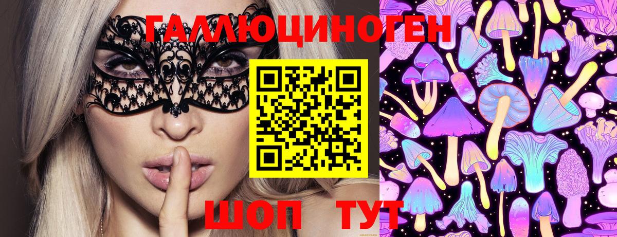 Псилоцибиновые грибы Psilocybine cubensis  где можно купить   Галлюциногенные грибы прущие грибы  Арзамас  Вход с VPN 